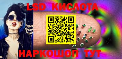 шишки Гатчина