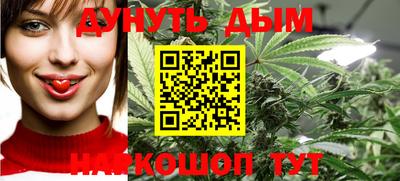 шишки Гатчина