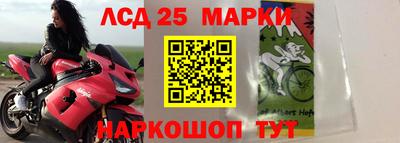 кокс Гай