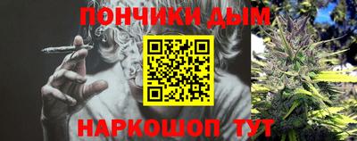 шишки Гатчина