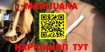 шишки Гатчина