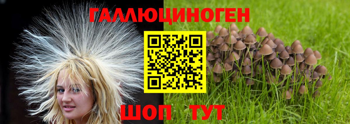 Псилоцибиновые грибы GOLDEN TEACHER Семёнов